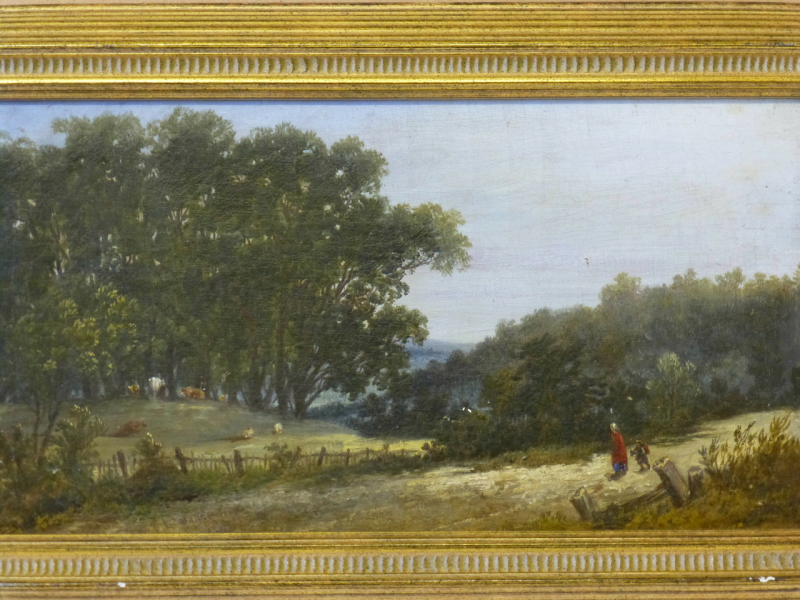 Cattle in Parkland