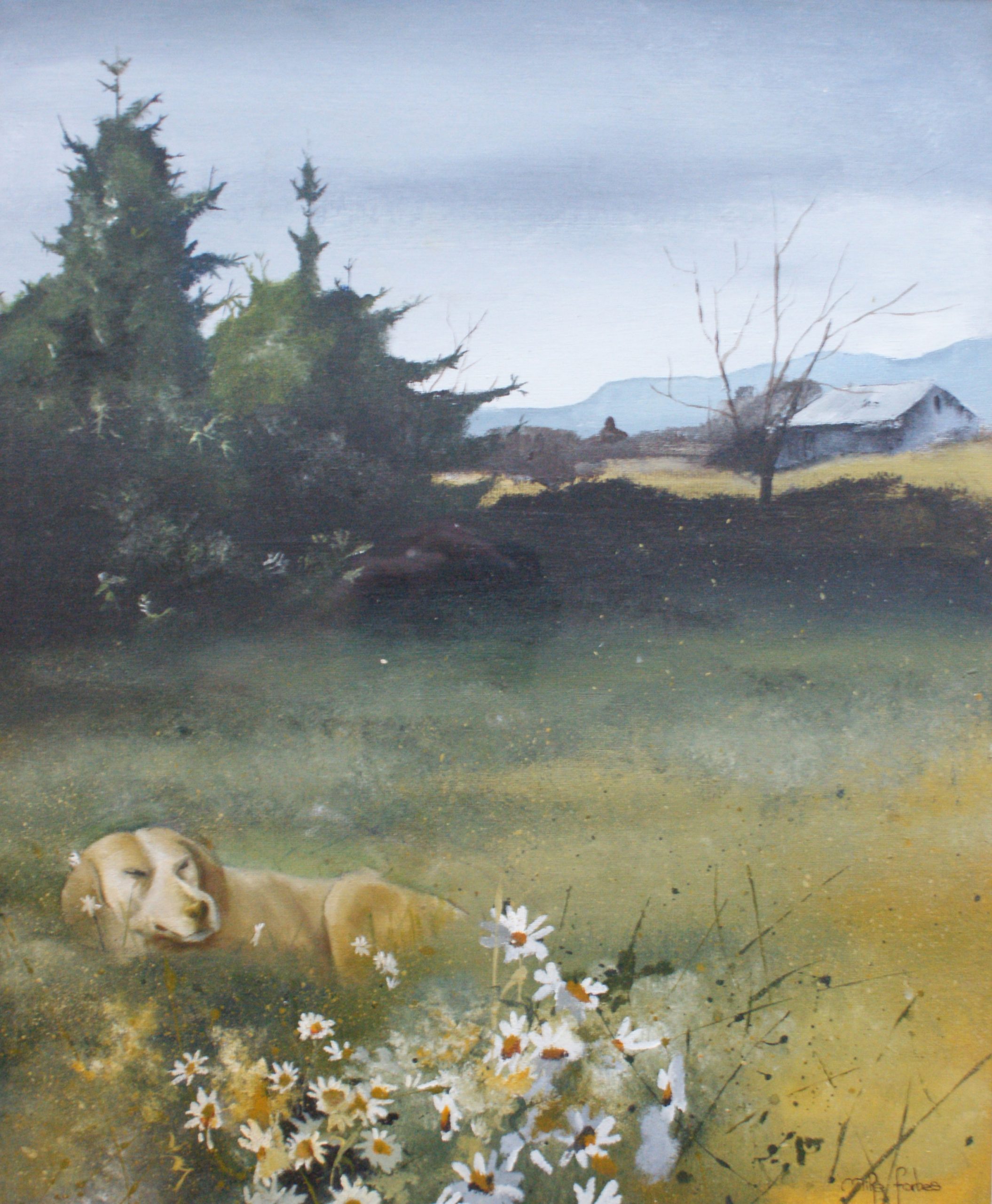 Mike Forbes - Dog in a meadow