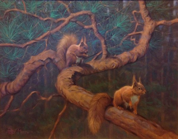 peter-munro-squirrels