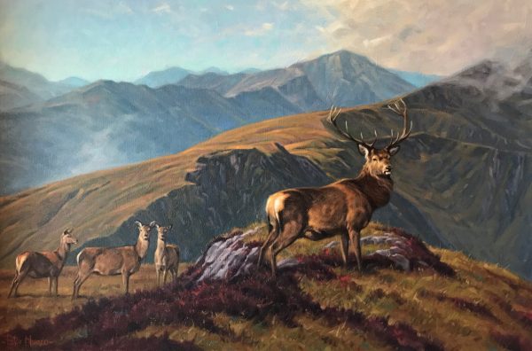 peter munro stags