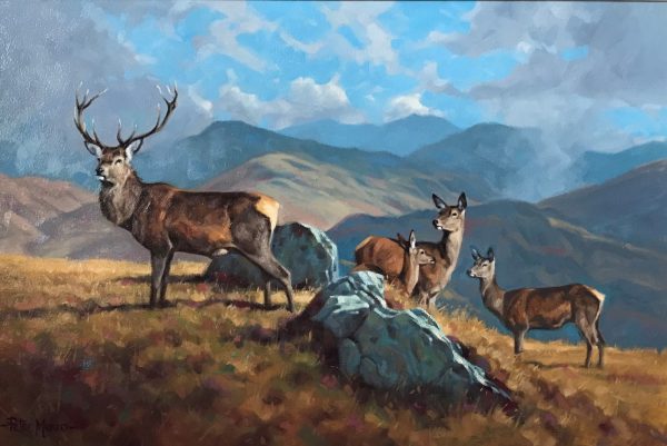 peter munro Stag and hinds (2)