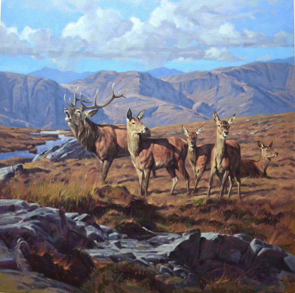 Stag & Hinds peter munro