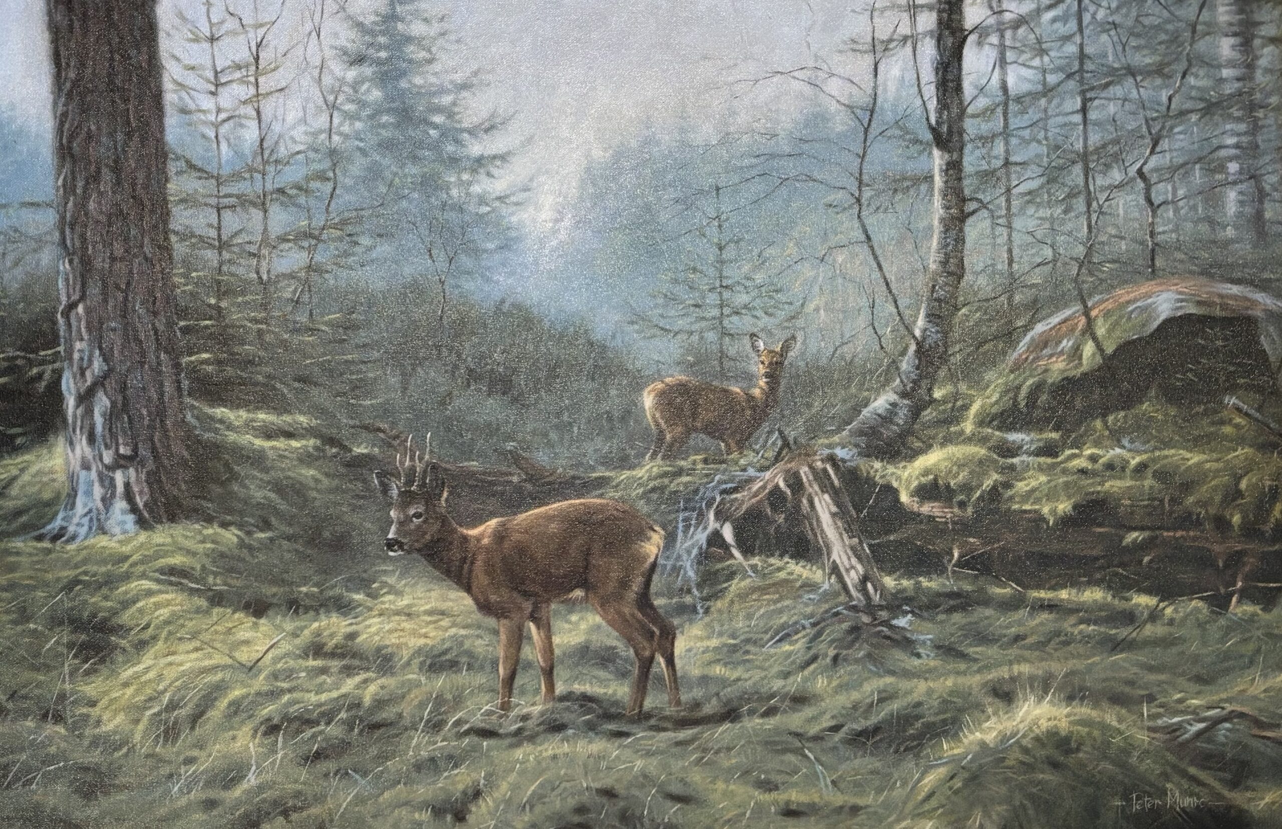 Early morning in the Highlands