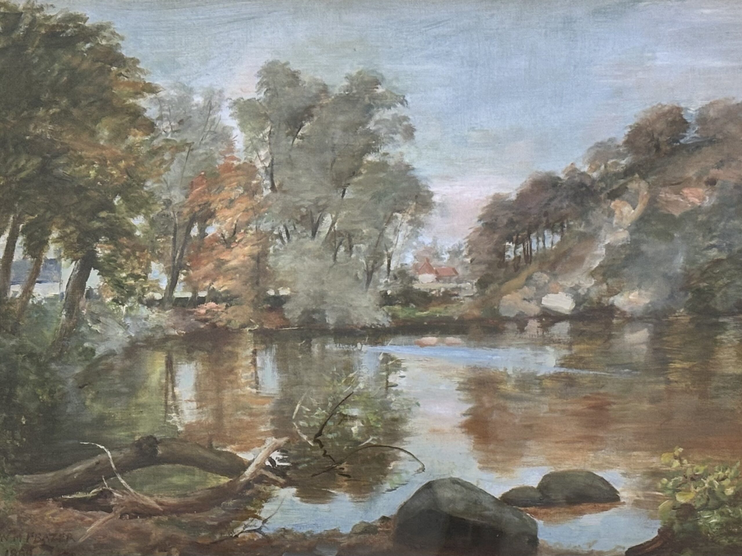 Woodland pond