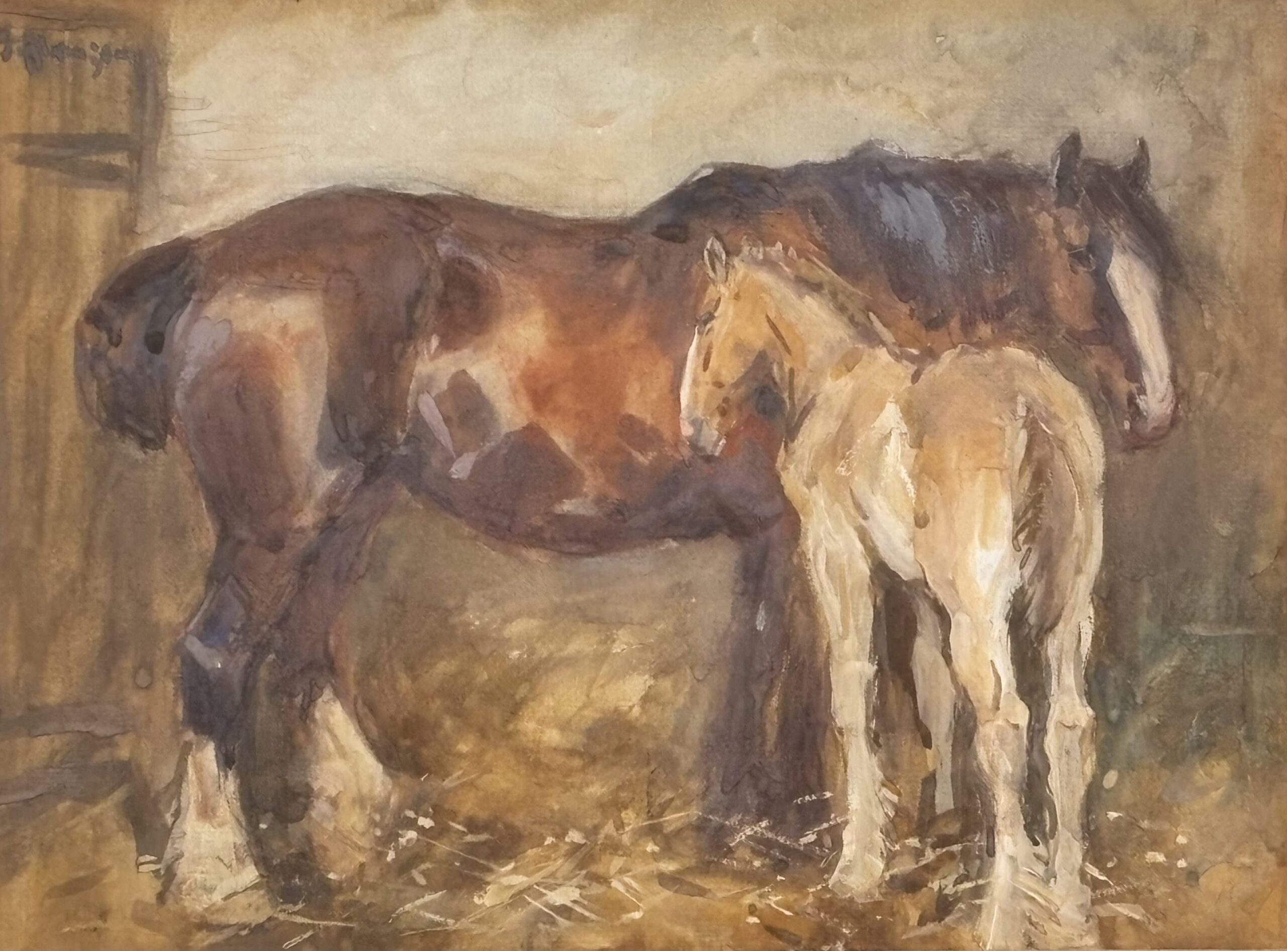 Horse with foal