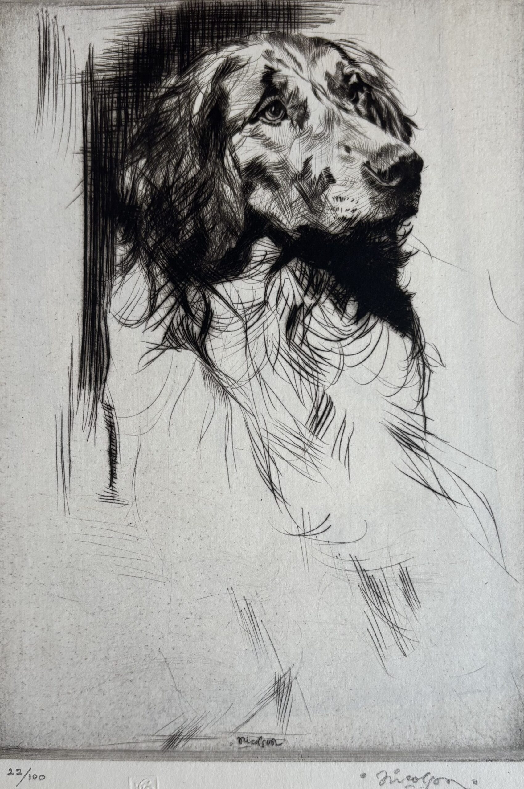 The Cocker Spaniel