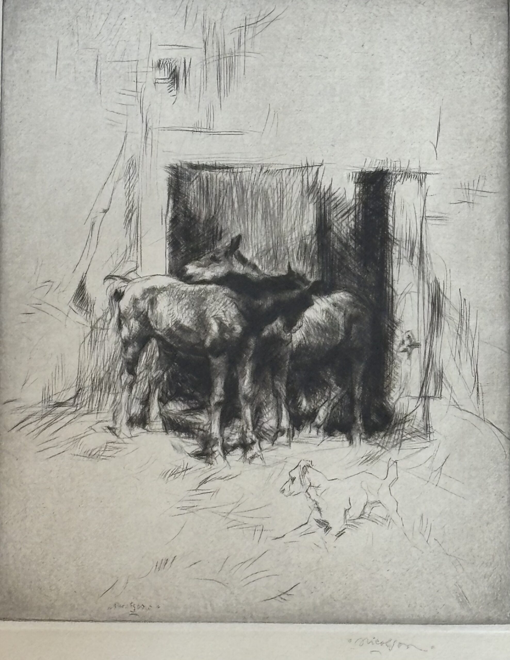 Donkeys