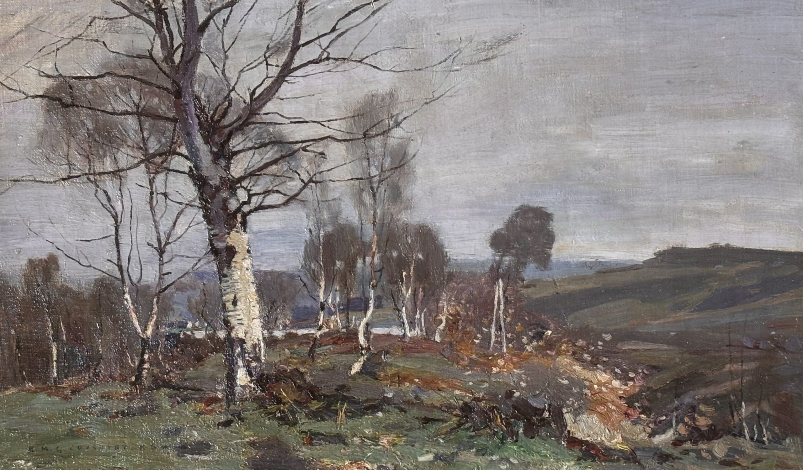 Silver Birch