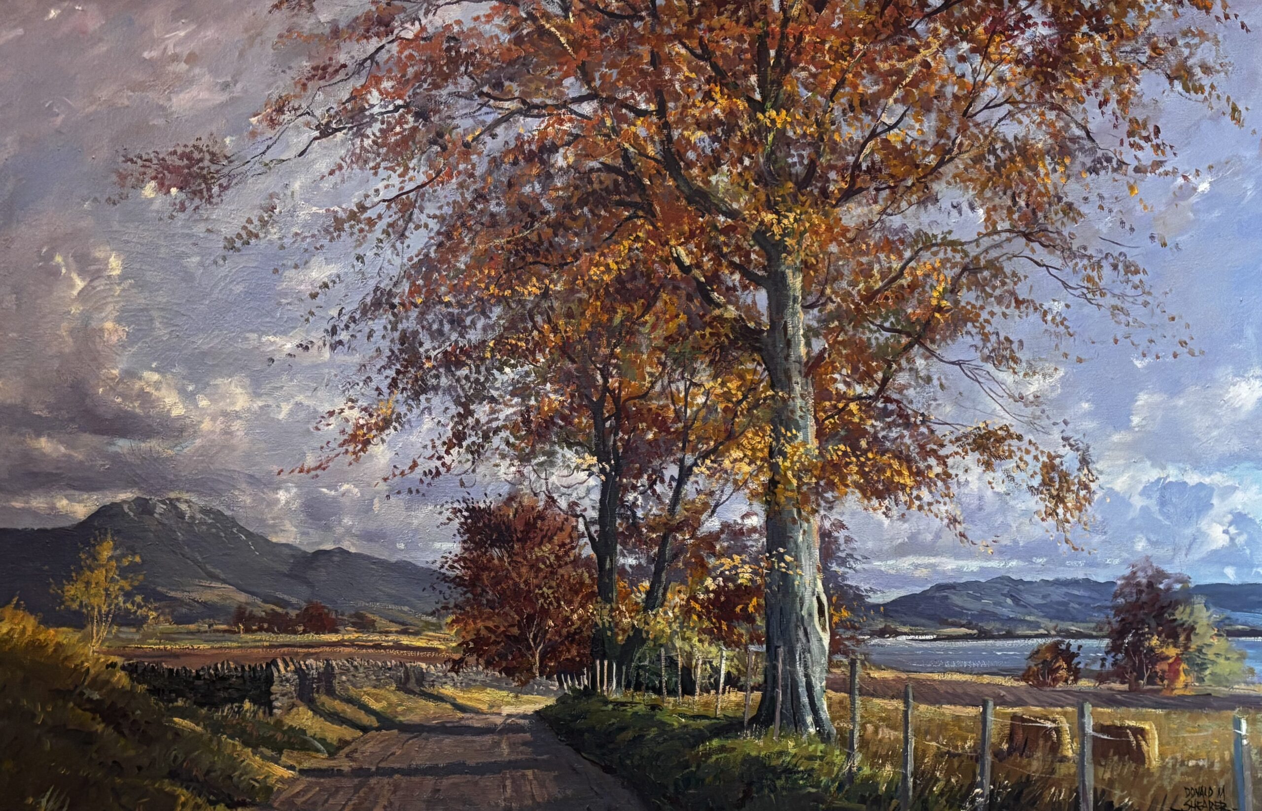 Autumn in the Highlands