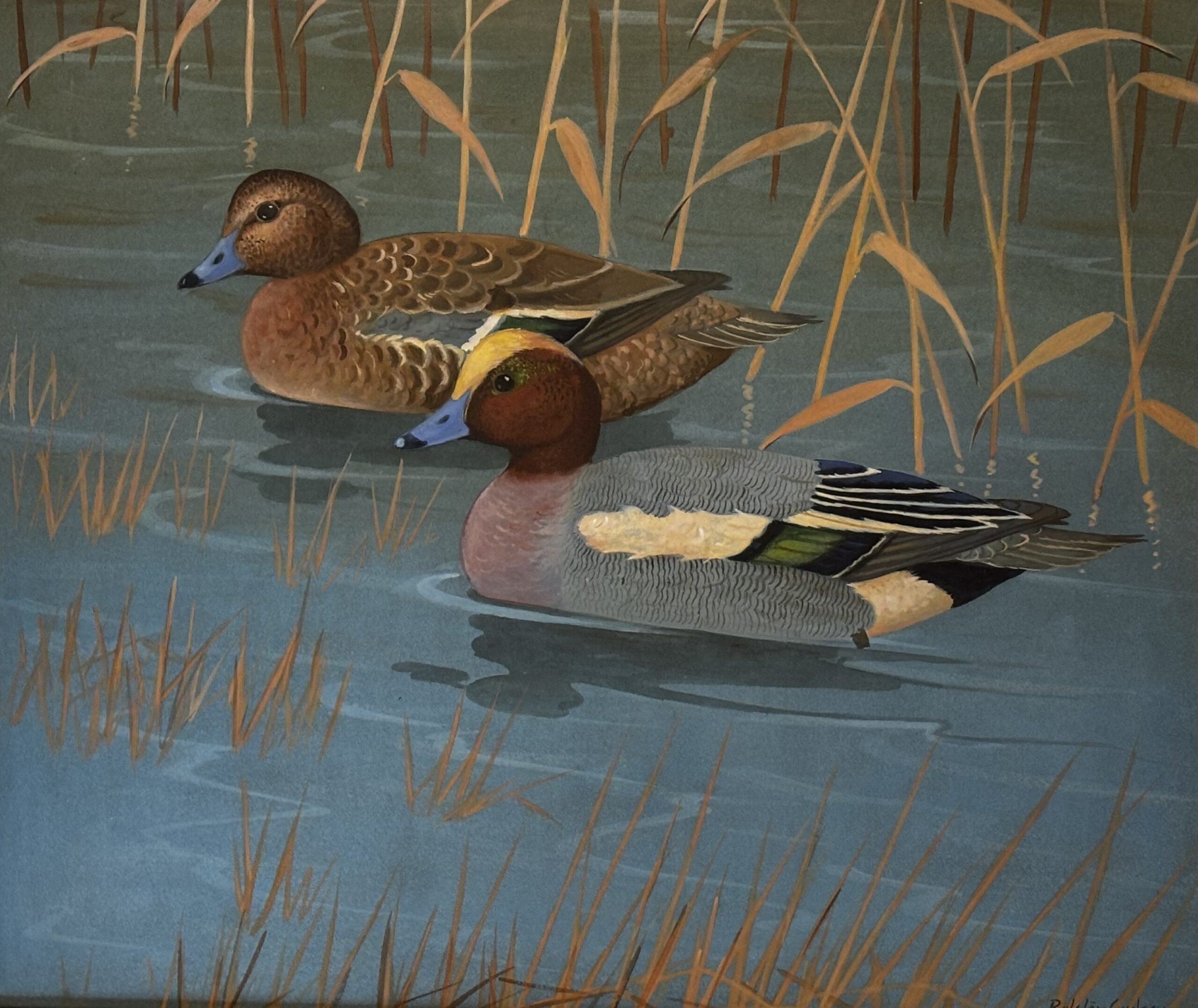 Mallards